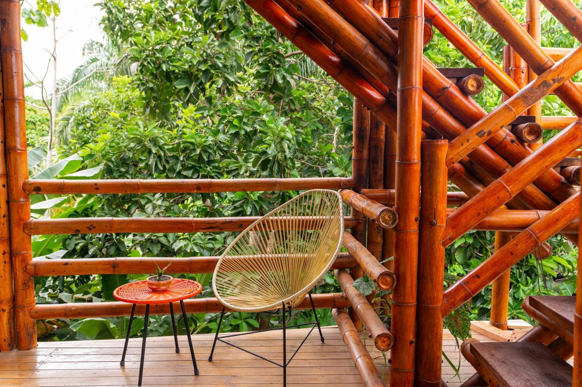Tayrona Juanchos House Hostel Los Naranjos Dış mekan fotoğraf